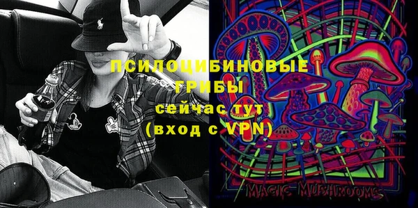 прущая мука Абаза